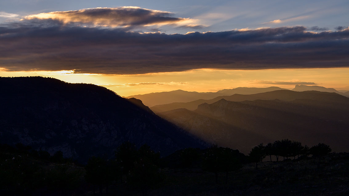 Bartgeier, Gypaète Barbu, Quebrantahuesos, Lämmergeier, Lammergeier, 