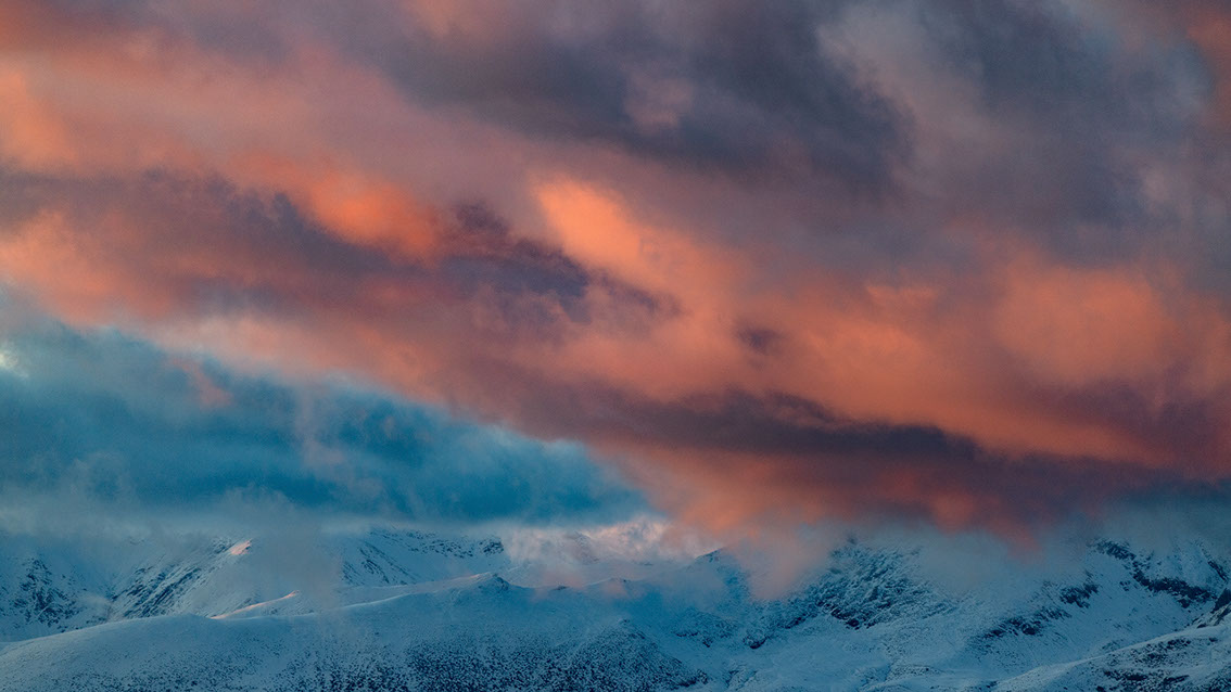 Bartgeier, Gypaète Barbu, Quebrantahuesos, Lämmergeier, Lammergeier, 