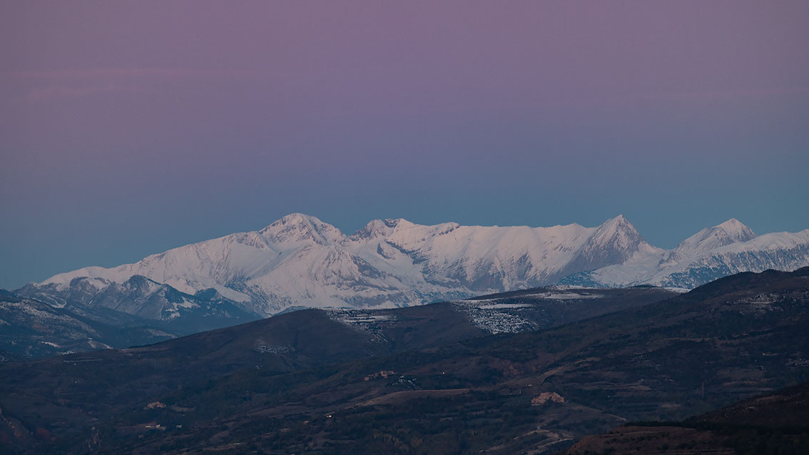 Bartgeier, Gypaète Barbu, Quebrantahuesos, Lämmergeier, Lammergeier, 