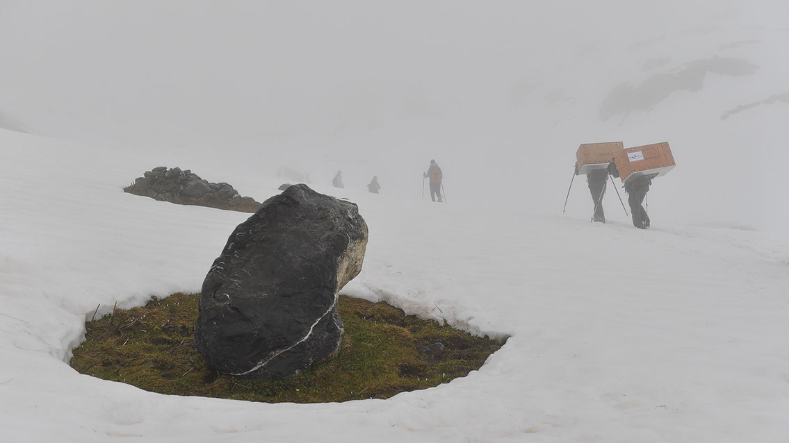 Bartgeier Bartgeier, Gypaète Barbu, Quebrantahuesos, Lämmergeier, Lammergeier,