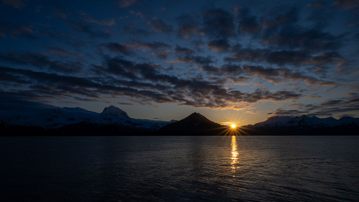 Bartgeier Bartgeier, Gypaète Barbu, Quebrantahuesos, Lämmergeier, Lammergeier,
