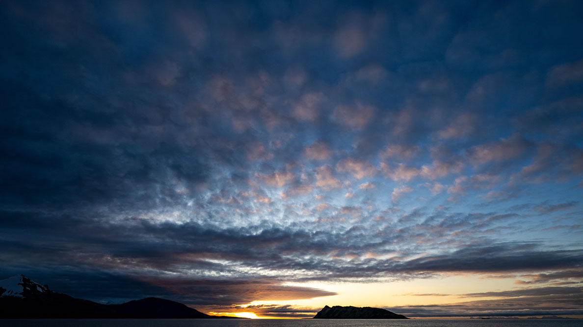Bartgeier Bartgeier, Gypaète Barbu, Quebrantahuesos, Lämmergeier, Lammergeier,