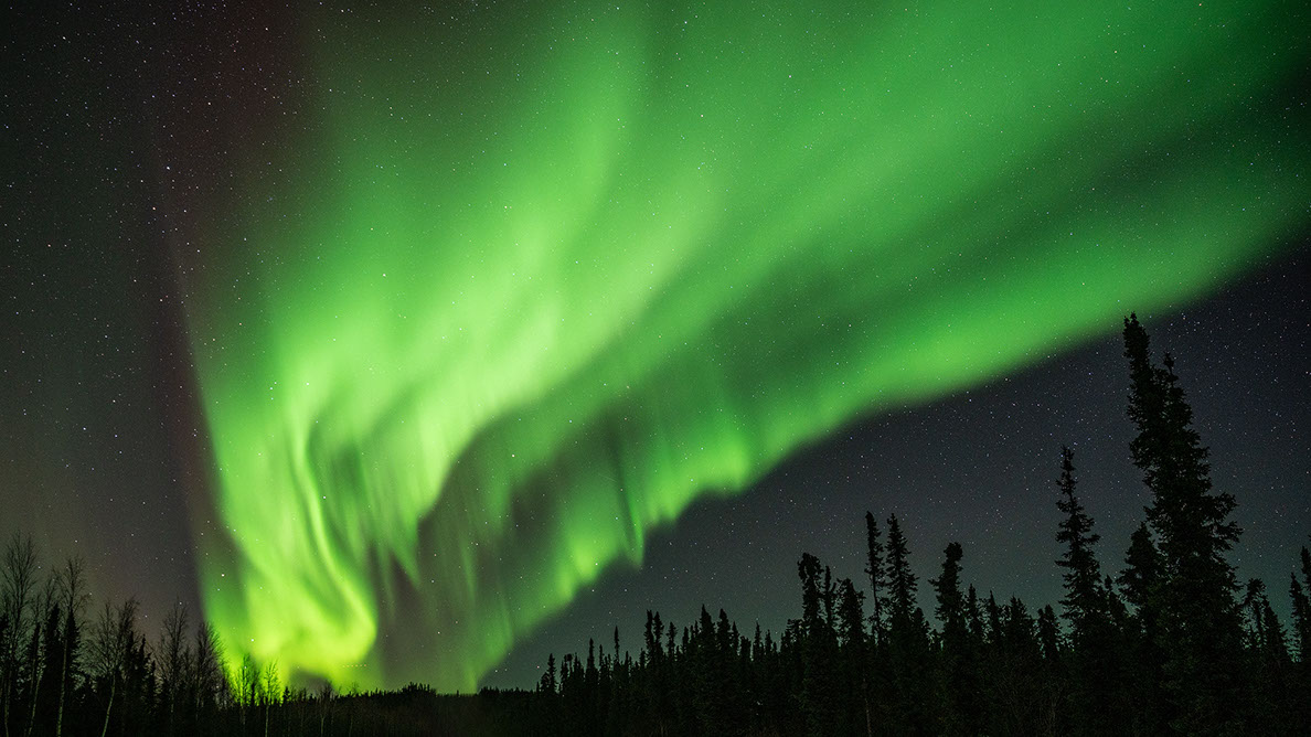Bartgeier Bartgeier, Gypaète Barbu, Quebrantahuesos, Lämmergeier, Lammergeier,
