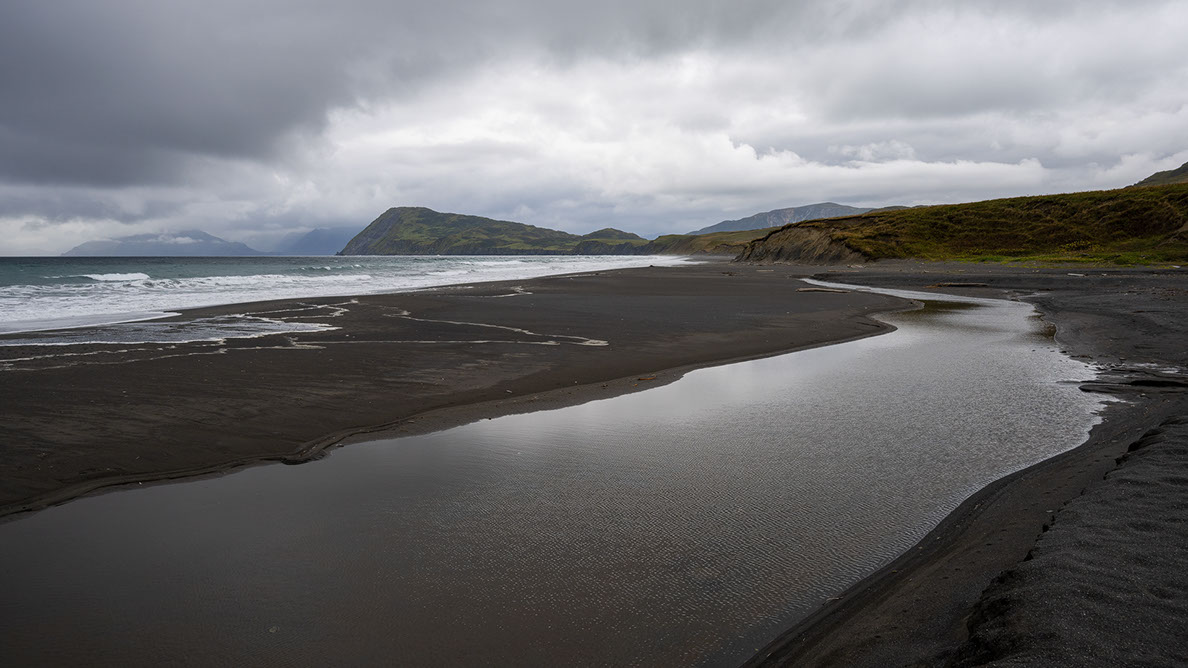 Bartgeier, Gypaète Barbu, Quebrantahuesos, Lämmergeier, Lammergeier, 