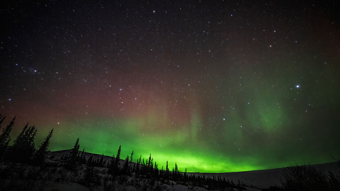 Bartgeier Bartgeier, Gypaète Barbu, Quebrantahuesos, Lämmergeier, Lammergeier,