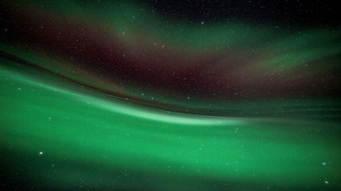 Bartgeier Bartgeier, Gypaète Barbu, Quebrantahuesos, Lämmergeier, Lammergeier,