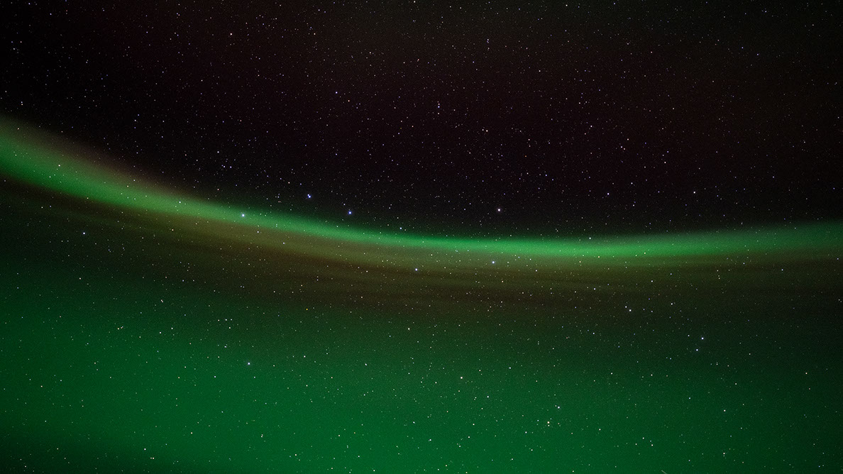 Bartgeier Bartgeier, Gypaète Barbu, Quebrantahuesos, Lämmergeier, Lammergeier,