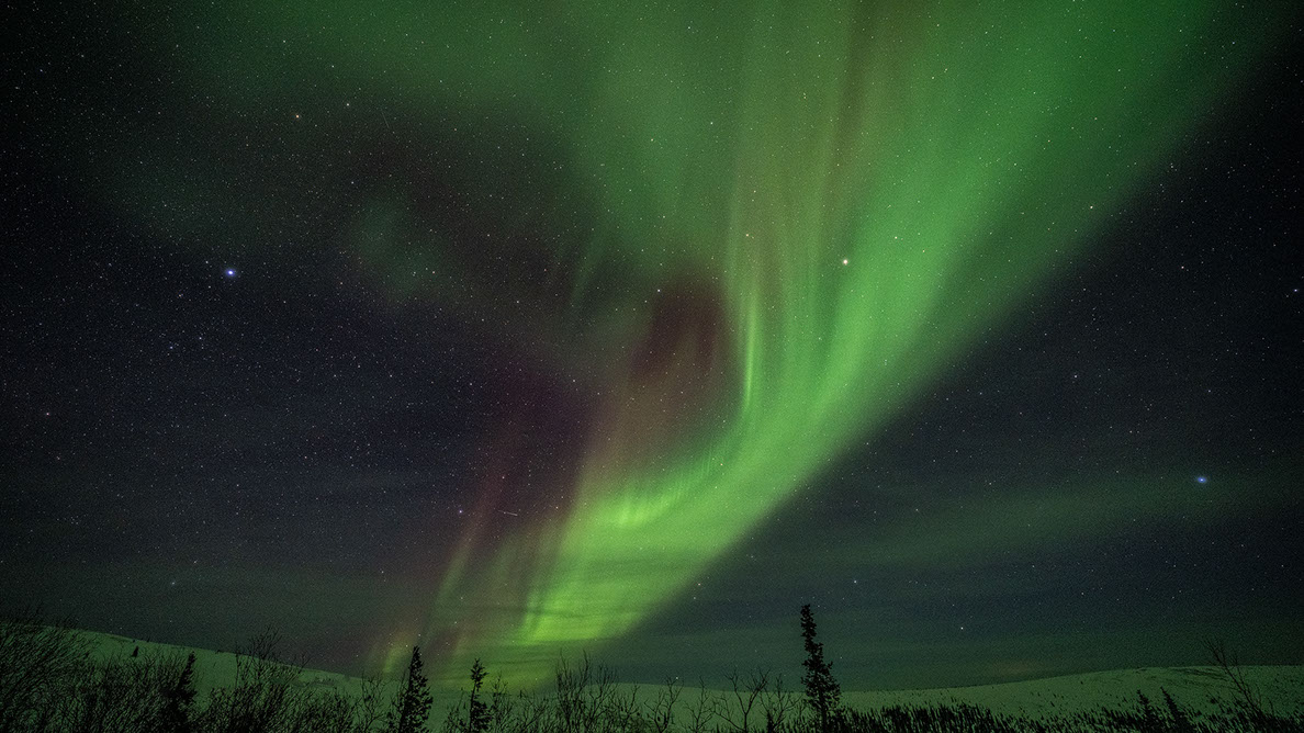 Bartgeier Bartgeier, Gypaète Barbu, Quebrantahuesos, Lämmergeier, Lammergeier,