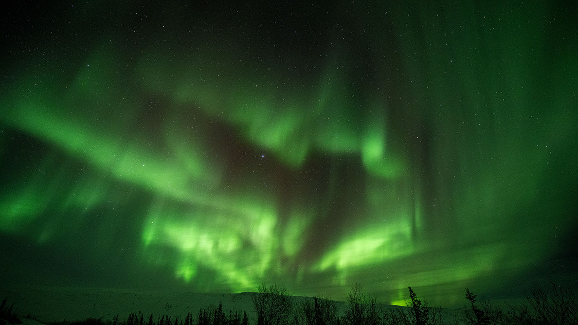 Bartgeier Bartgeier, Gypaète Barbu, Quebrantahuesos, Lämmergeier, Lammergeier,