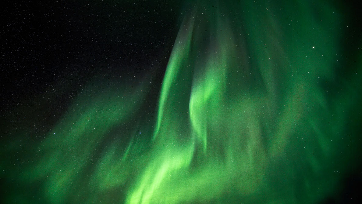 Bartgeier Bartgeier, Gypaète Barbu, Quebrantahuesos, Lämmergeier, Lammergeier,