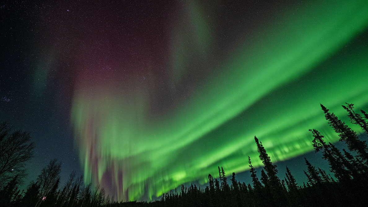 Bartgeier Bartgeier, Gypaète Barbu, Quebrantahuesos, Lämmergeier, Lammergeier,
