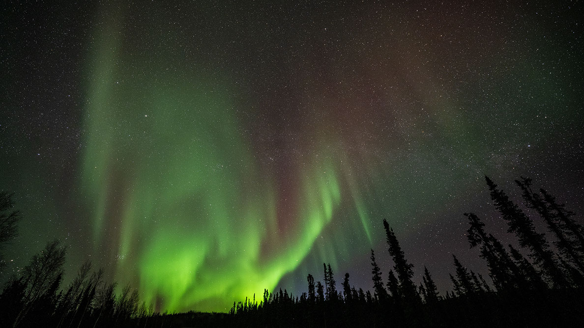 Bartgeier Bartgeier, Gypaète Barbu, Quebrantahuesos, Lämmergeier, Lammergeier,