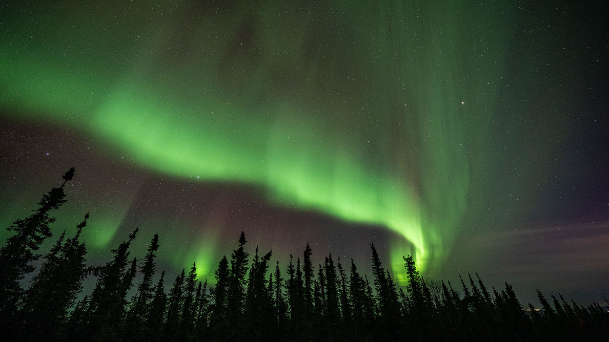 Bartgeier Bartgeier, Gypaète Barbu, Quebrantahuesos, Lämmergeier, Lammergeier,
