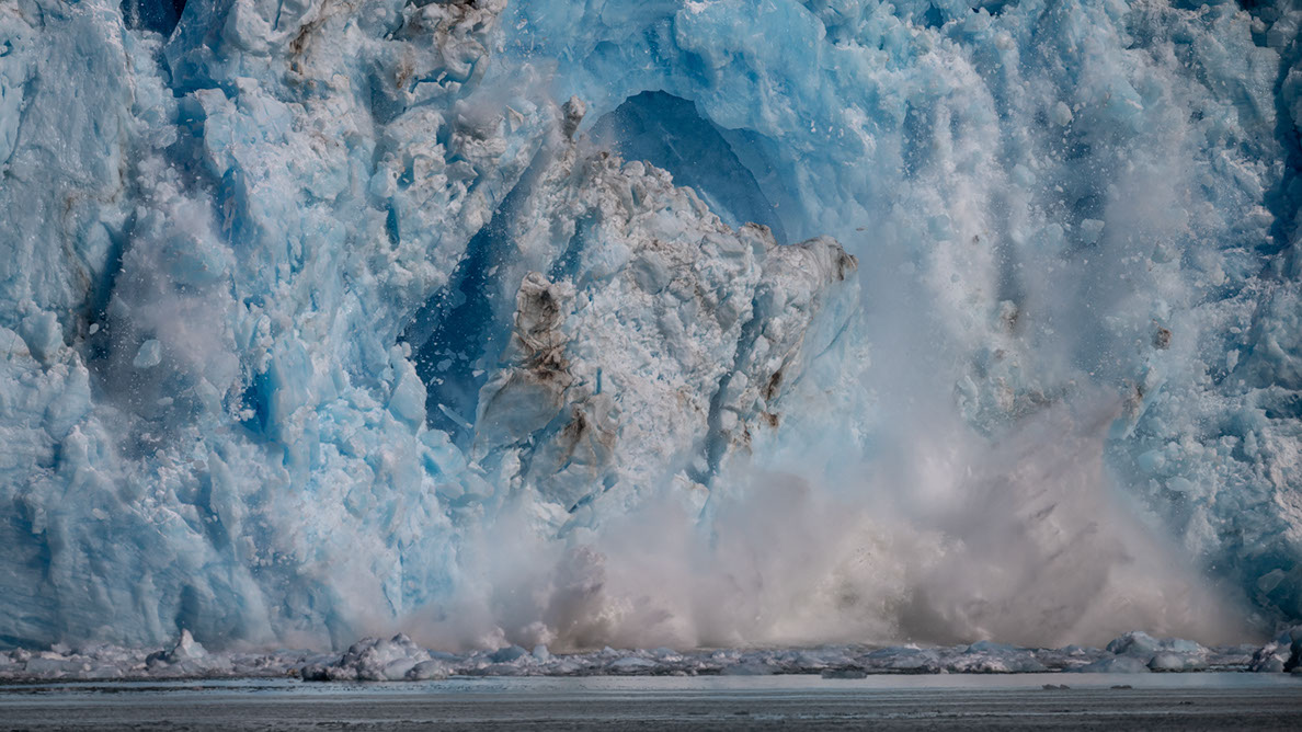 Bartgeier Bartgeier, Gypaète Barbu, Quebrantahuesos, Lämmergeier, Lammergeier,