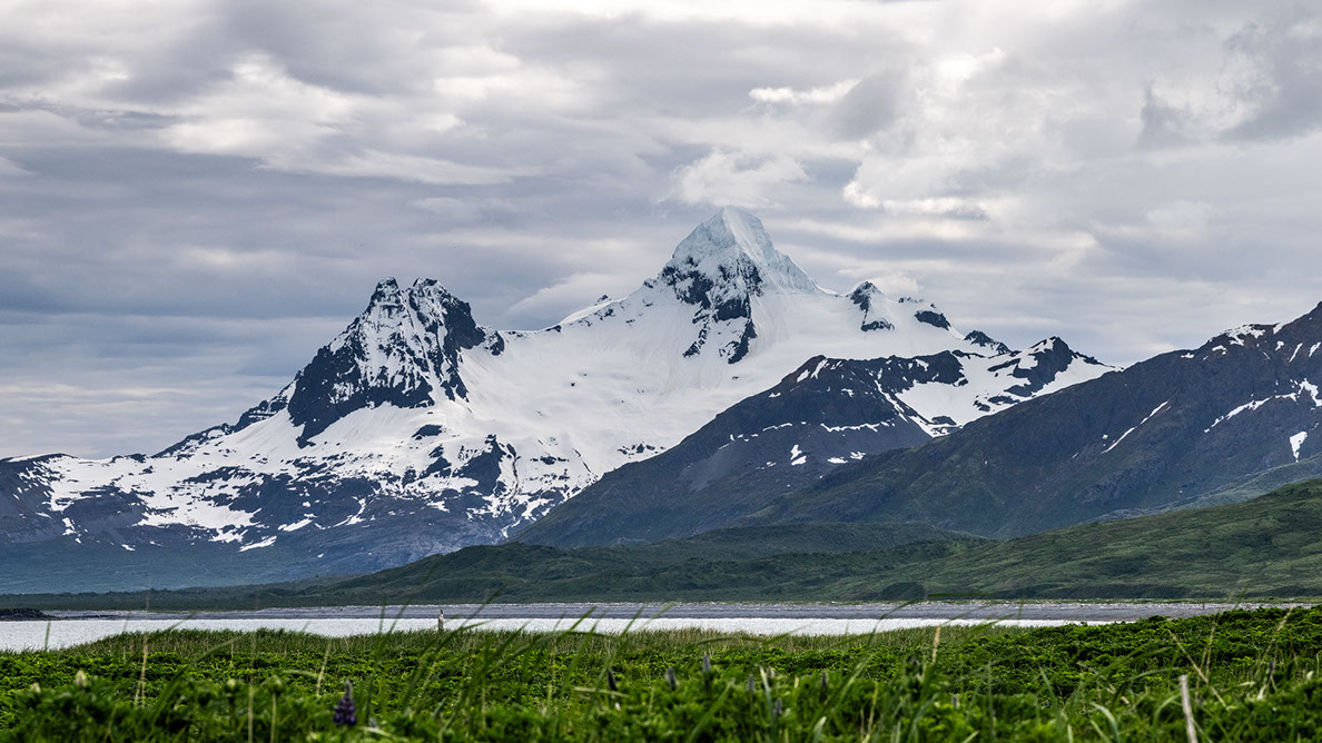Bartgeier Bartgeier, Gypaète Barbu, Quebrantahuesos, Lämmergeier, Lammergeier,