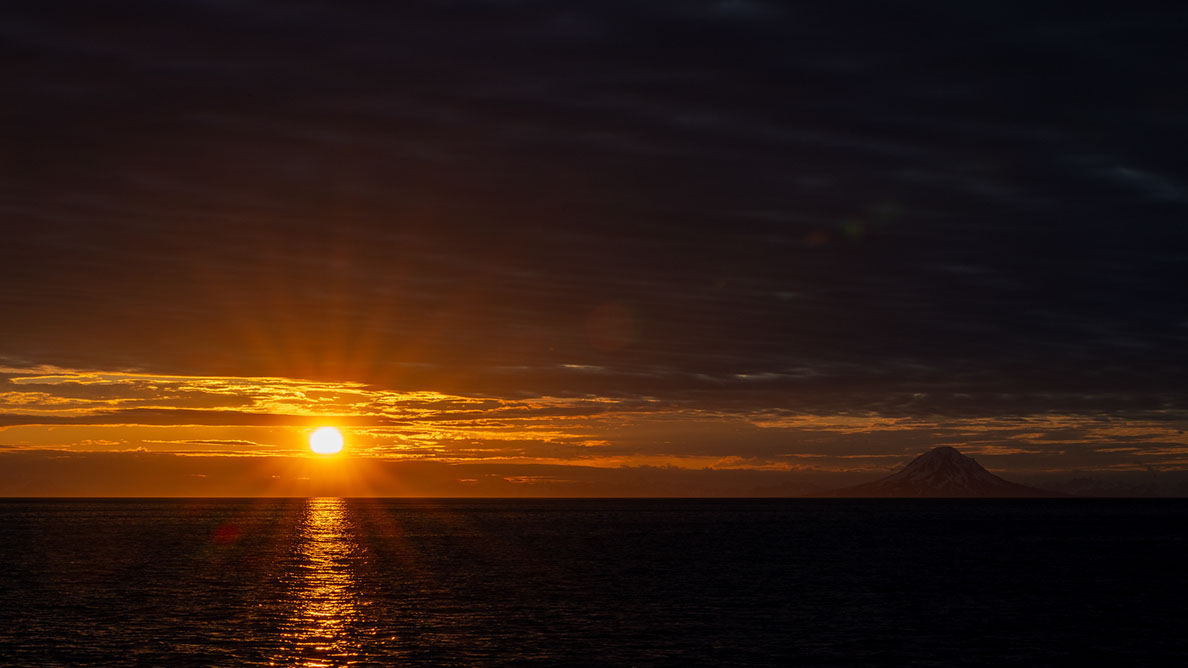 Bartgeier Bartgeier, Gypaète Barbu, Quebrantahuesos, Lämmergeier, Lammergeier,