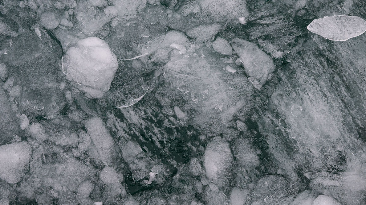 Bartgeier Bartgeier, Gypaète Barbu, Quebrantahuesos, Lämmergeier, Lammergeier,