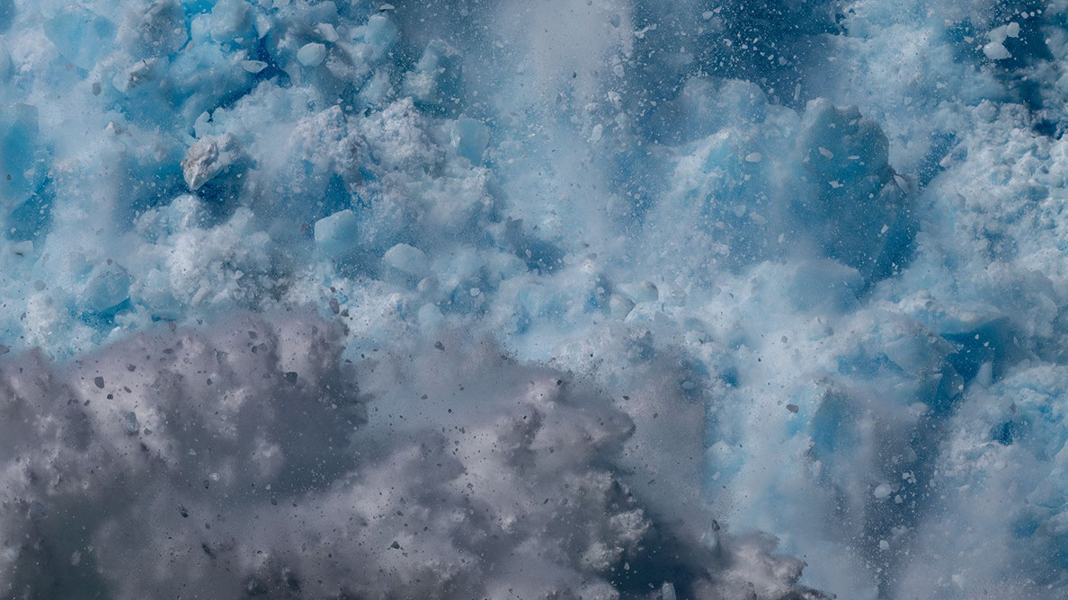 Bartgeier Bartgeier, Gypaète Barbu, Quebrantahuesos, Lämmergeier, Lammergeier,