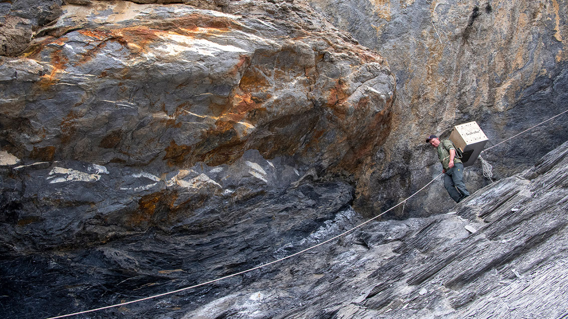 Bartgeier Bartgeier, Gypaète Barbu, Quebrantahuesos, Lämmergeier, Lammergeier,